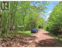 3 Lots Gold Brook Road, Upper Middle River, NS B0E1B0 Photo 18