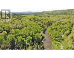 3 Lots Gold Brook Road, Upper Middle River, NS B0E1B0 Photo 21