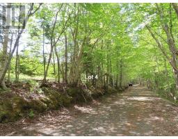 3 Lots Gold Brook Road, Upper Middle River, NS B0E1B0 Photo 23