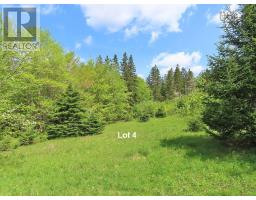 3 Lots Gold Brook Road, Upper Middle River, NS B0E1B0 Photo 27
