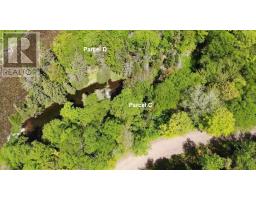3 Lots Gold Brook Road, Upper Middle River, NS B0E1B0 Photo 22