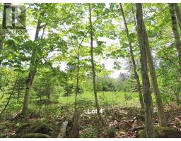 3 Lots Gold Brook Road, Upper Middle River, NS B0E1B0 Photo 25
