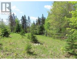 3 Lots Gold Brook Road, Upper Middle River, NS B0E1B0 Photo 26