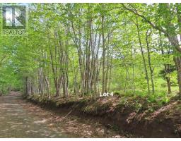 3 Lots Gold Brook Road, Upper Middle River, NS B0E1B0 Photo 24