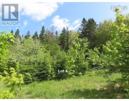 3 Lots Gold Brook Road, Upper Middle River, NS B0E1B0 Photo 28