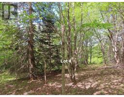 3 Lots Gold Brook Road, Upper Middle River, NS B0E1B0 Photo 30