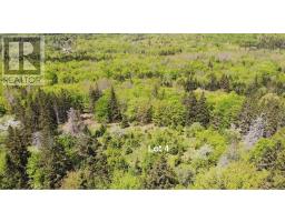 3 Lots Gold Brook Road, Upper Middle River, NS B0E1B0 Photo 32