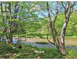 3 Lots Gold Brook Road, Upper Middle River, NS B0E1B0 Photo 6