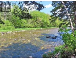 3 Lots Gold Brook Road, Upper Middle River, NS B0E1B0 Photo 8