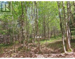 3 Lots Gold Brook Road, Upper Middle River, NS B0E1B0 Photo 29