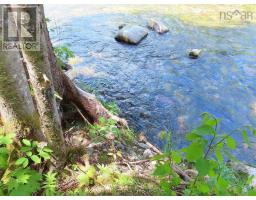 3 Lots Gold Brook Road, Upper Middle River, NS B0E1B0 Photo 7
