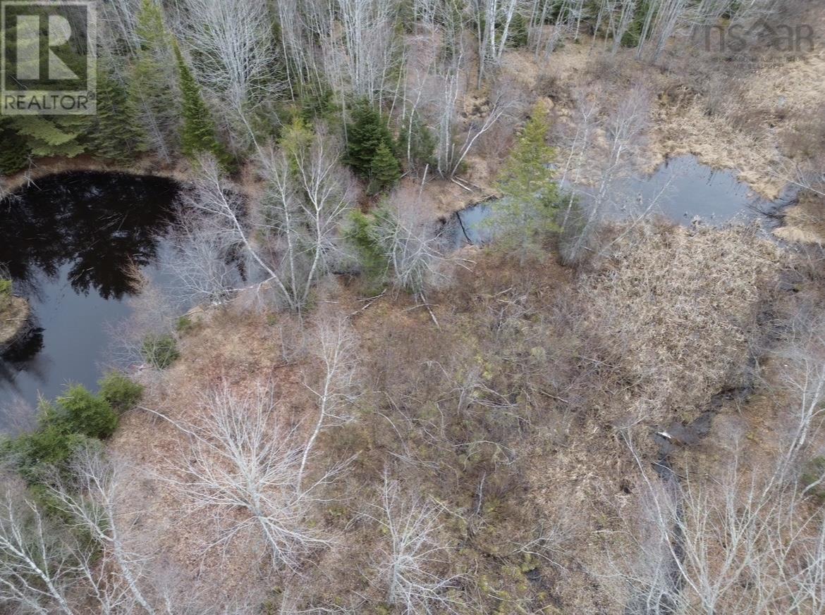 115 Bennie Muckle Road - 12