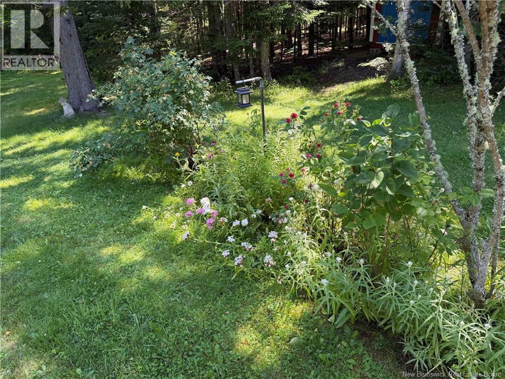 127 McKay Loop Road - 39