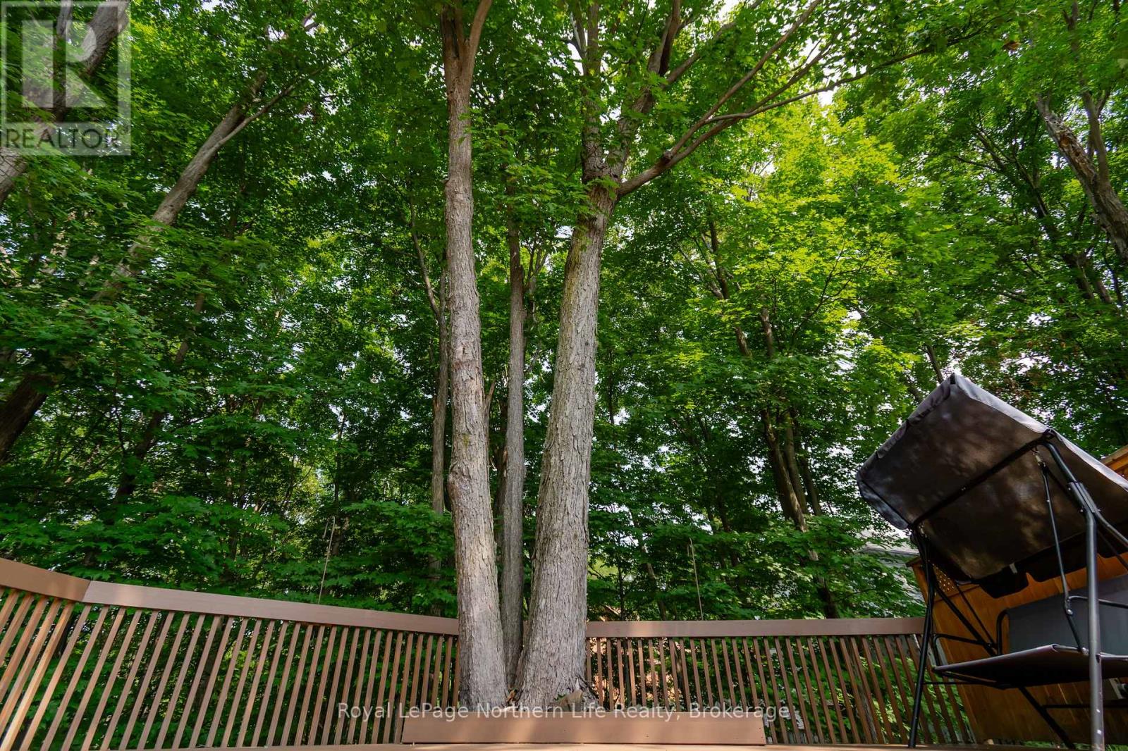 40 ELLENDALE DRIVE - Image 34