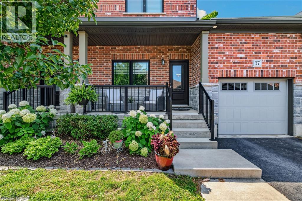 37 SERVICEBERRY Lane - 3