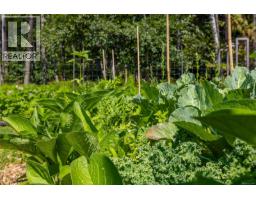 4501 Short Rd, Pender Island, BC V0N2M1 Photo 25