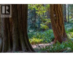 4501 Short Rd, Pender Island, BC V0N2M1 Photo 76