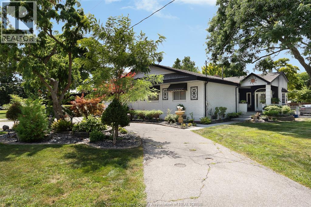 333 CORONADO - Image 4