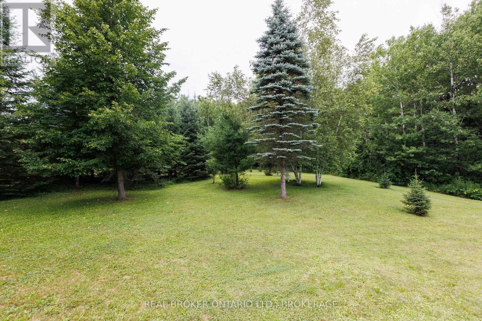 3213 DORNIE ROAD - 44