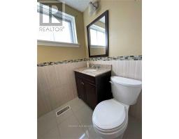 Lower - 40 Cavehill Crescent, Toronto, ON M1R4P9 Photo 6