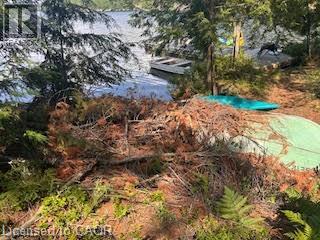 431 HEALEY LAKE - 22