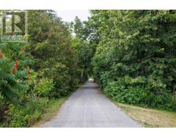 183 Louisa Street, Kawartha Lakes, ON K0M1N0 Photo 48