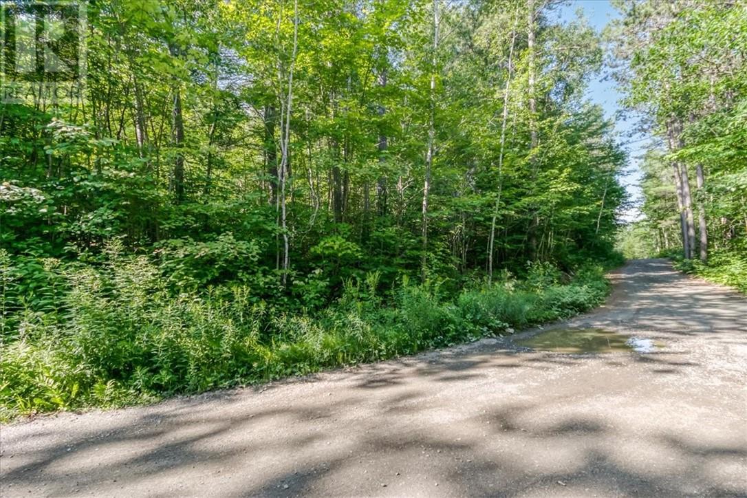 56 Reserve Camp Road - 31