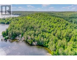 56 Reserve Camp Road, Whitefish, ON P0M3E0 Photo 41