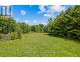 Pt Lt 27 Concession 16 Road, West Grey, ON N0G2M0 Photo 12