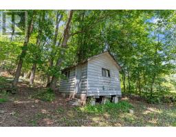 4687 County Rd 21 Road, Dysart Et Al, ON K0M1S0 Photo 33