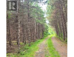 432 Stewart Road, Pugwash River, NS B0K1L0 Photo 11