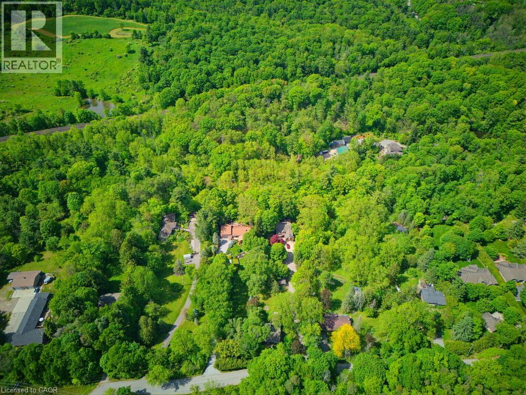 1131 OLD GOVERNOR'S Road - 44
