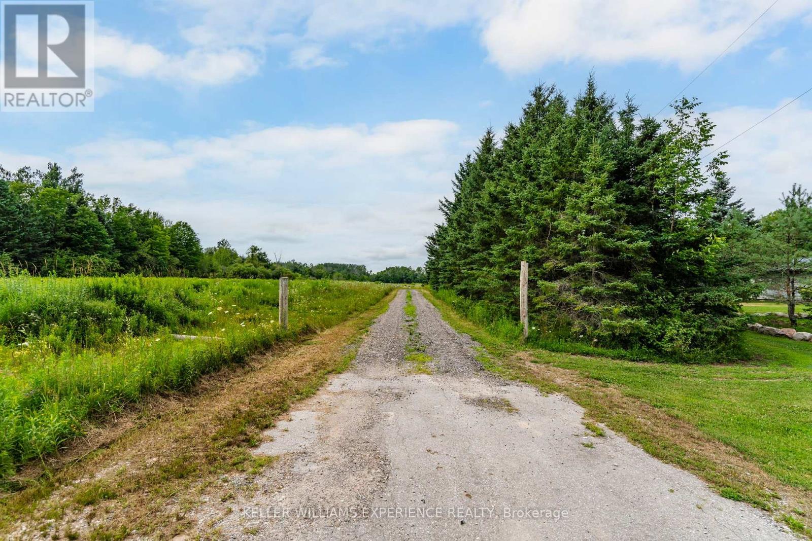 320 6 CONCESSION E - Image 45