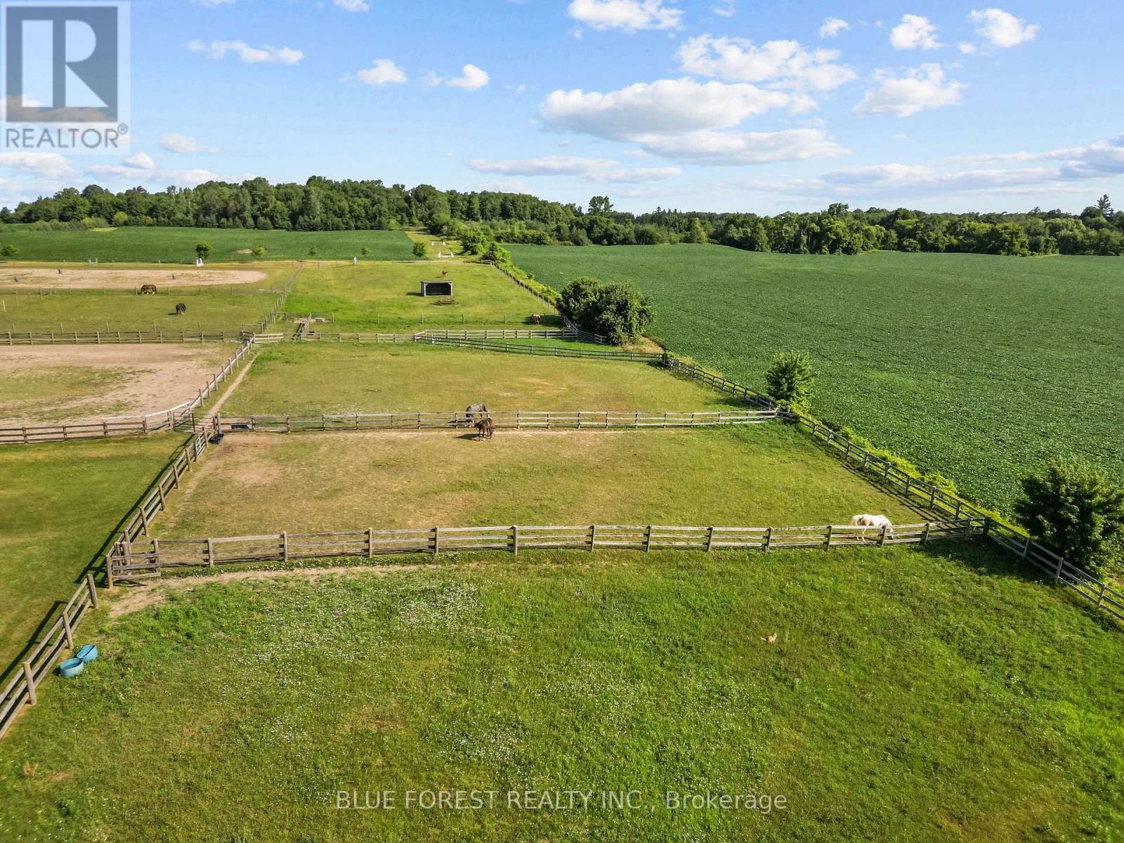 12798 EIGHT MILE ROAD - 31