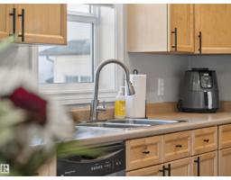 #44 12050 17 Av Sw, Edmonton, AB T6L1X4 Photo 21