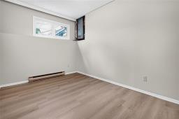 257 Douglas Avenue, Winnipeg, MB R2G0Y2 Photo 34