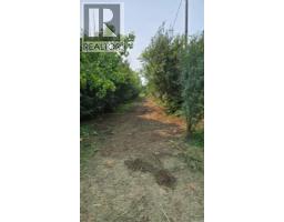 Hamm Acreage, Reford Rm No  379, SK S0K4W0 Photo 6
