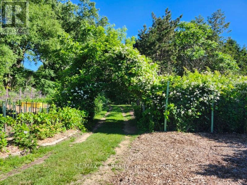 55424 LAKESHORE ROAD - 5