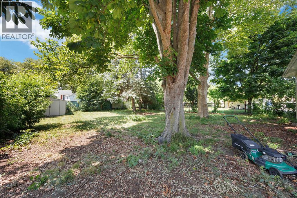 1091 INDIAN ROAD North - 29