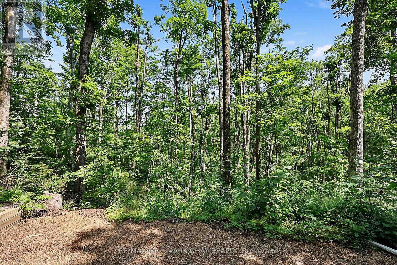 88 HURONWOODS DRIVE - Image 41