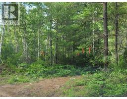 Lot Graham Road, South Oromocto Lake, NB E5L0O0 Photo 12