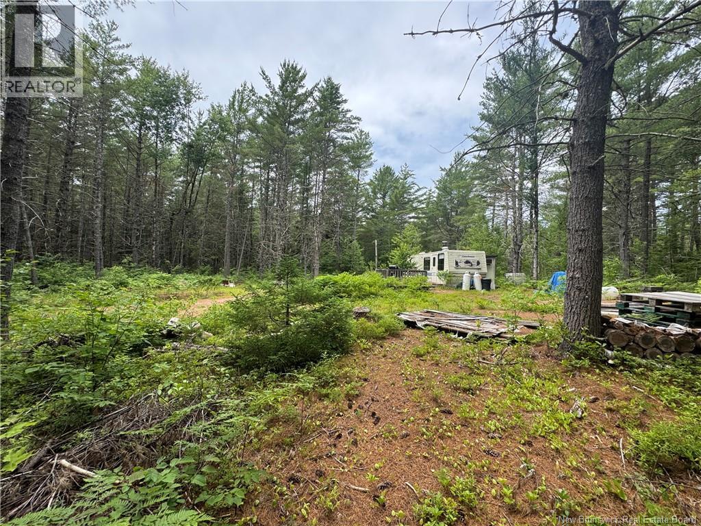 Lot Graham Road, South Oromocto Lake, New Brunswick, E5L0O0, South Oromocto Lake, New Brunswick — photo 5 of 5