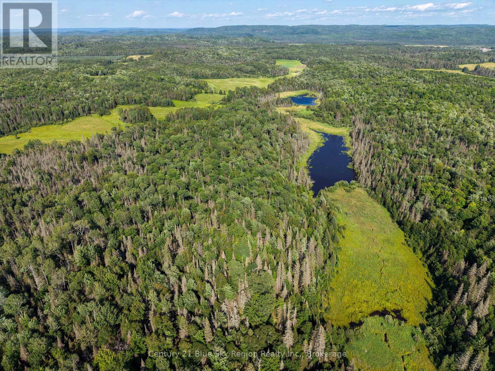 695 WEILER LINE - Image 49