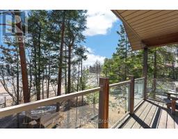 12 Walker Road, Tiny, ON L0L2J0 Photo 28