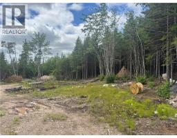 2768 Route 790, photo 4