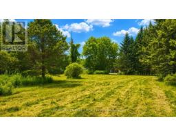 4881 Orser Street, Clearview, ON L0M1N0 Photo 7