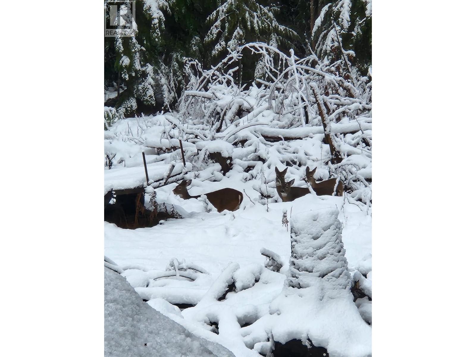 760 Kangaroo Trail - 34