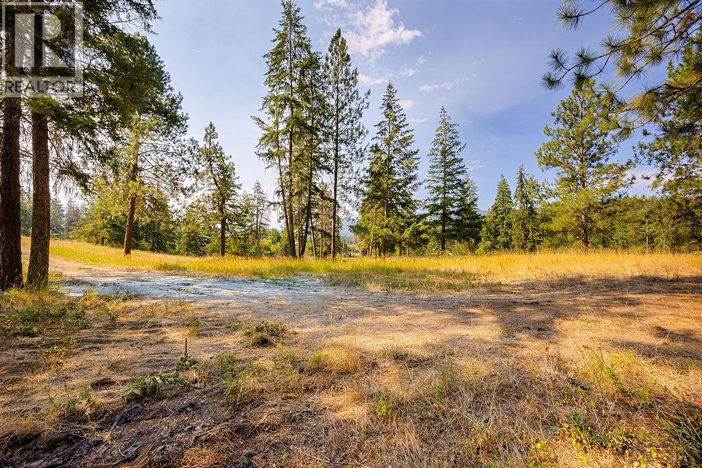  Lot A Wyatt Road, Spallumcheen