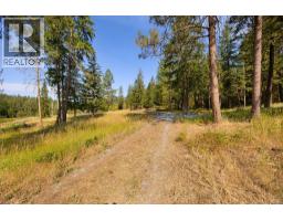 Lot A Wyatt Road, Spallumcheen, BC V4Y0M5 Photo 13