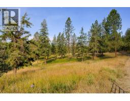 Lot A Wyatt Road, Spallumcheen, BC V4Y0M5 Photo 8